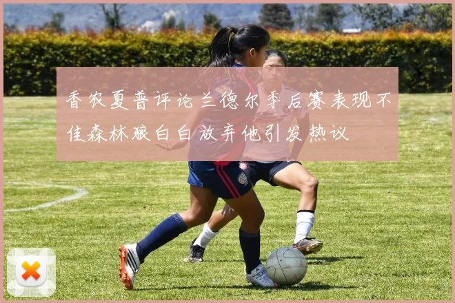 香农夏普评论兰德尔季后赛表现不佳森林狼白白放弃他引发热议