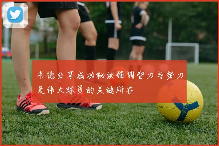 韦德分享成功秘诀强调智力与努力是伟大球员的关键所在