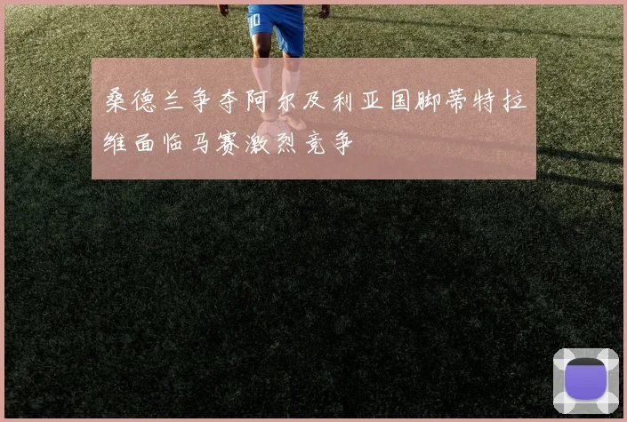 桑德兰争夺阿尔及利亚国脚蒂特拉维面临马赛激烈竞争